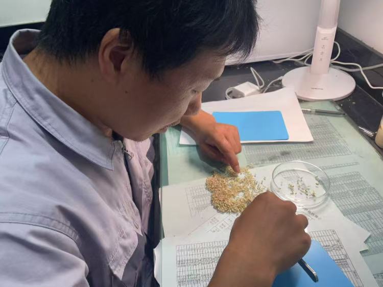 0982606f0be74b3e7e9dae9c990af38b.jpg 0982606f0be74b3e7e9dae9c990af38b.jpg